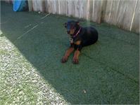 daycare pic 14 - Callie